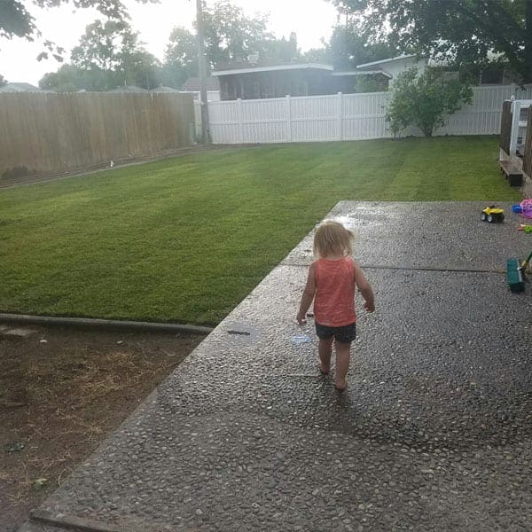 Young boy walking in the lawn with sod grass