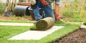 Sod roll installation