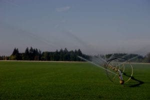 Sprinkler system in the lawn